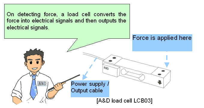 Basics of Load Cells